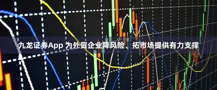 九龙证券App 为外贸企业降风险、拓市场提供有力支撑