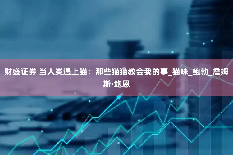 财盛证券 当人类遇上猫：那些猫猫教会我的事_猫咪_鲍勃_詹姆斯·鲍恩