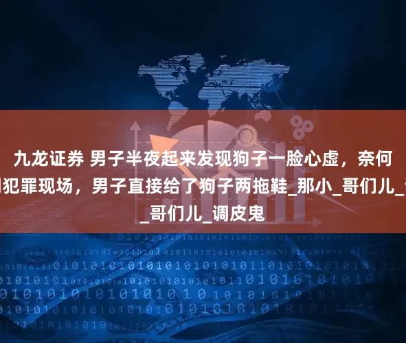 九龙证券 男子半夜起来发现狗子一脸心虚，奈何找不到犯罪现场，男子直接给了狗子两拖鞋_那小_哥们儿_调皮鬼